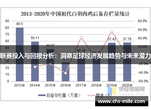 联赛投入与回报分析：洞察足球经济发展趋势与未来潜力
