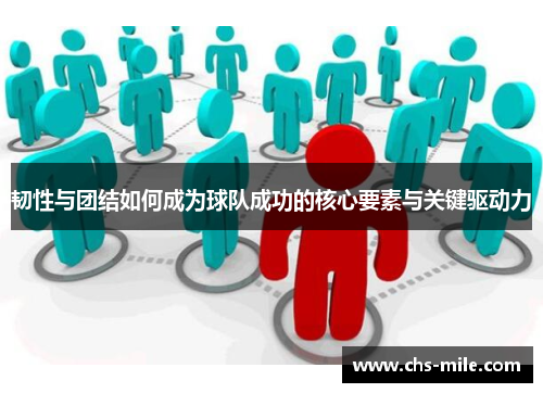 韧性与团结如何成为球队成功的核心要素与关键驱动力 韧性与团结如何成为球队成功的核心要素与关键驱动力